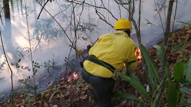 San Juan / Medio Ambiente sofoca gran incendio forestal en la loma Los Arroyos